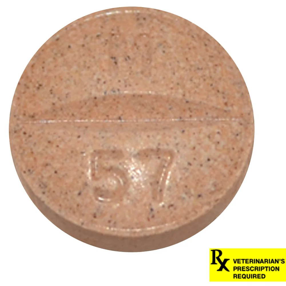 Rx Previcox (firocoxib) Chew Tabs for Dogs - Buy Pet Shop