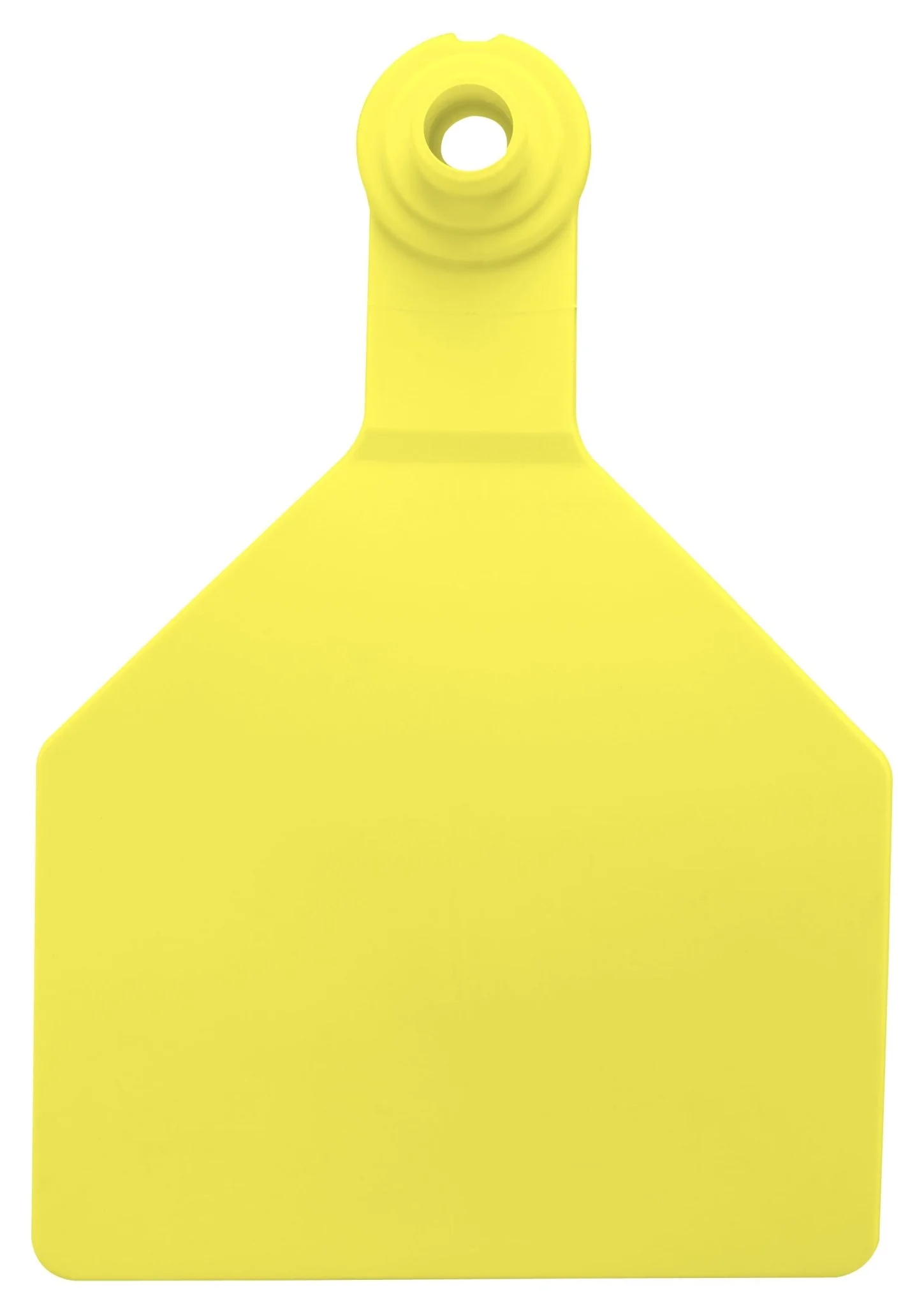 Z2 Tags - Stockman 2-Piece Blank Tags, 25 ct - Buy Pet Shop