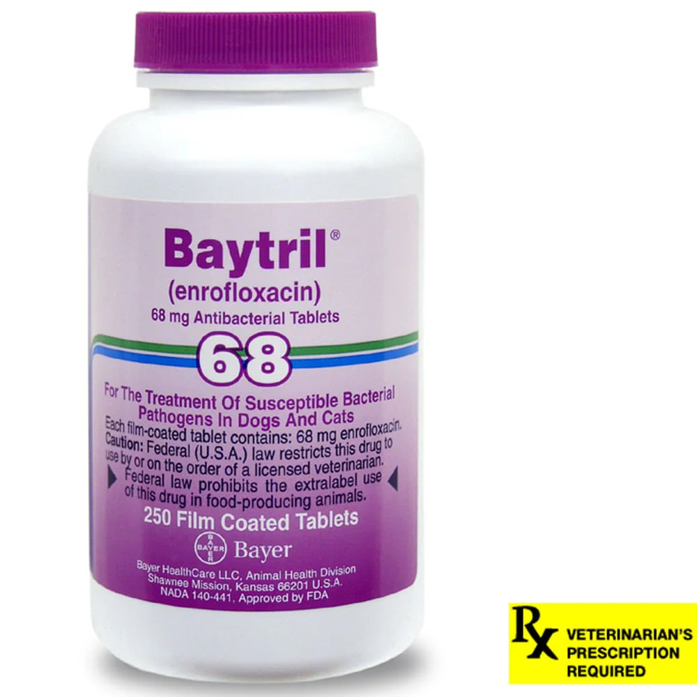 Rx Baytril for Dogs and Cats (Tablets) - Buy Pet Shop
