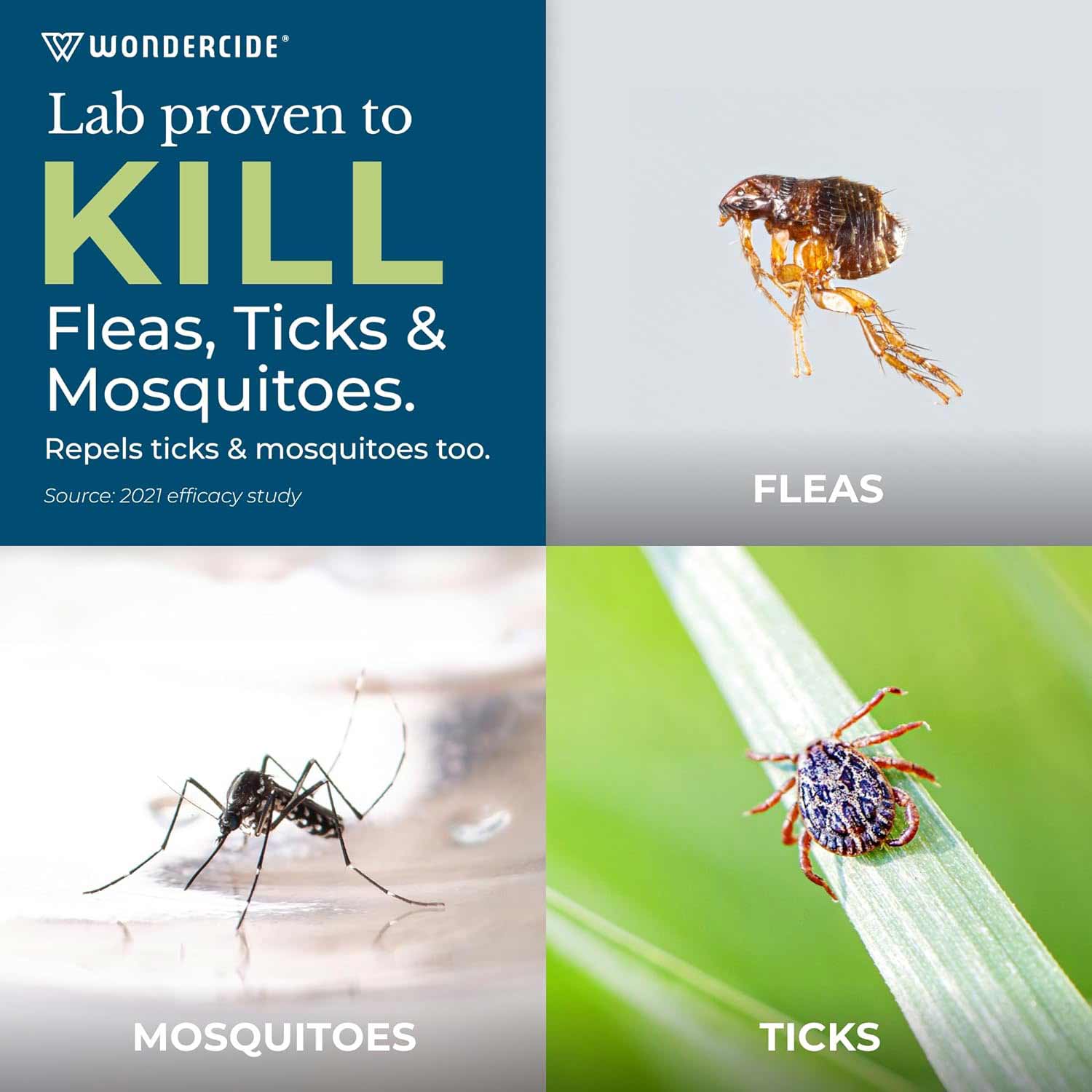 Wondercide Flea, Tick & Mosquito Control Concentrate for Yard + Garden - Buy Pet Shop