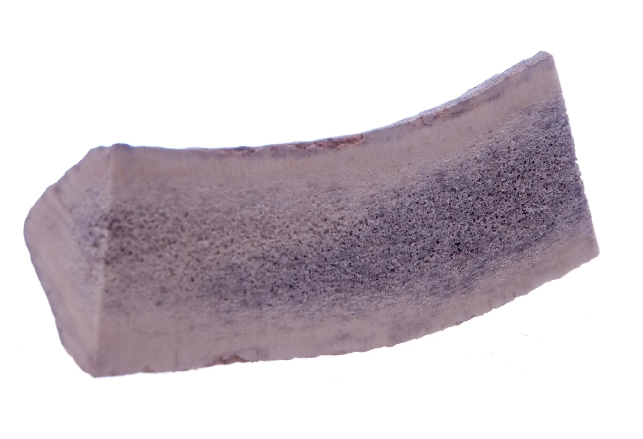 Split Antlerz (The Trew) - Buy Pet Shop