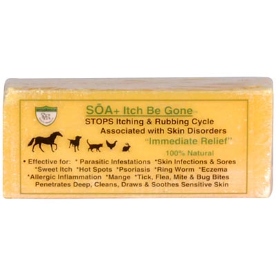 SOA+ Itch Be Gone Soap Bar, 11 oz - Buy Pet Shop