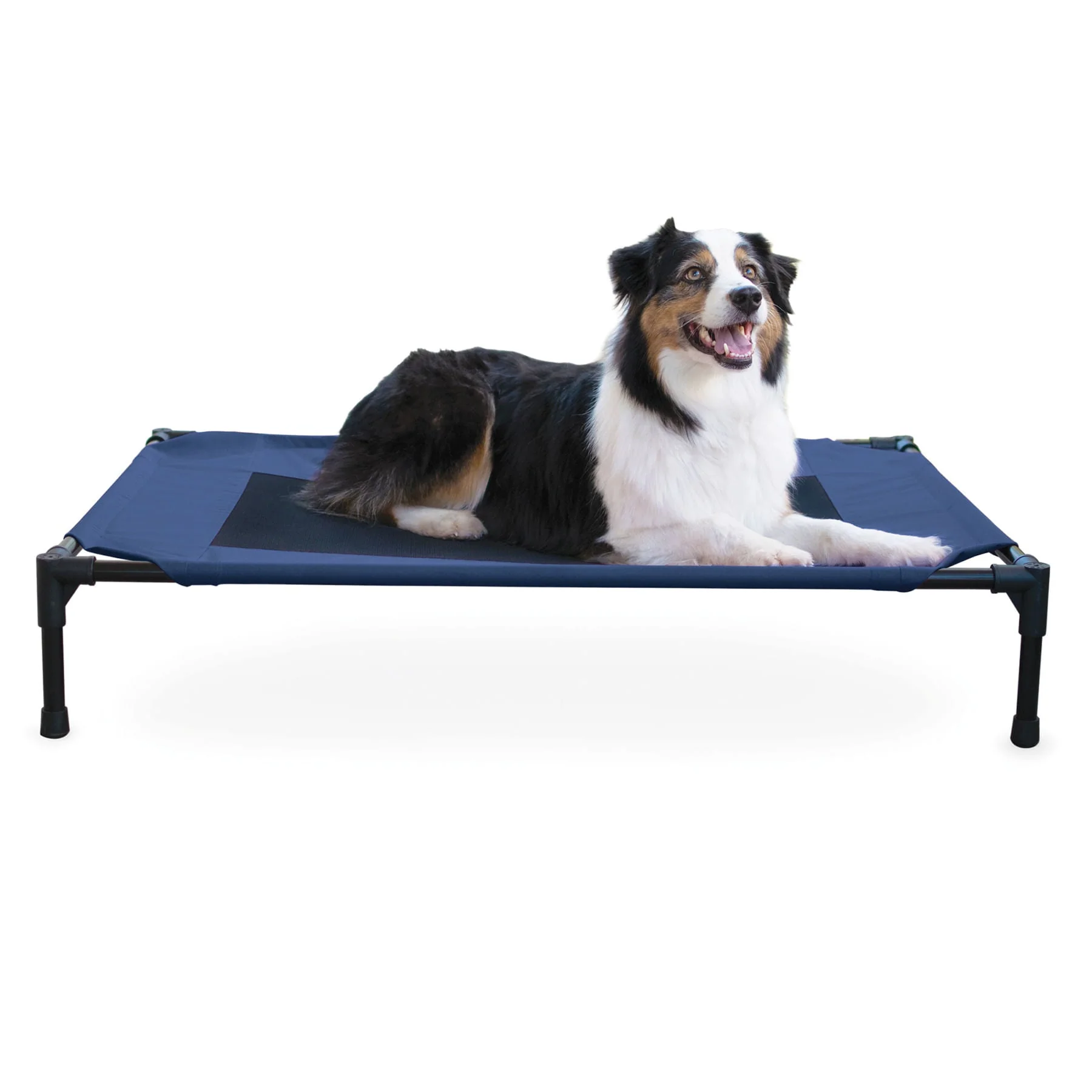 K&H Elevated Dog Bed, Small to X-Large - Buy Pet Shop