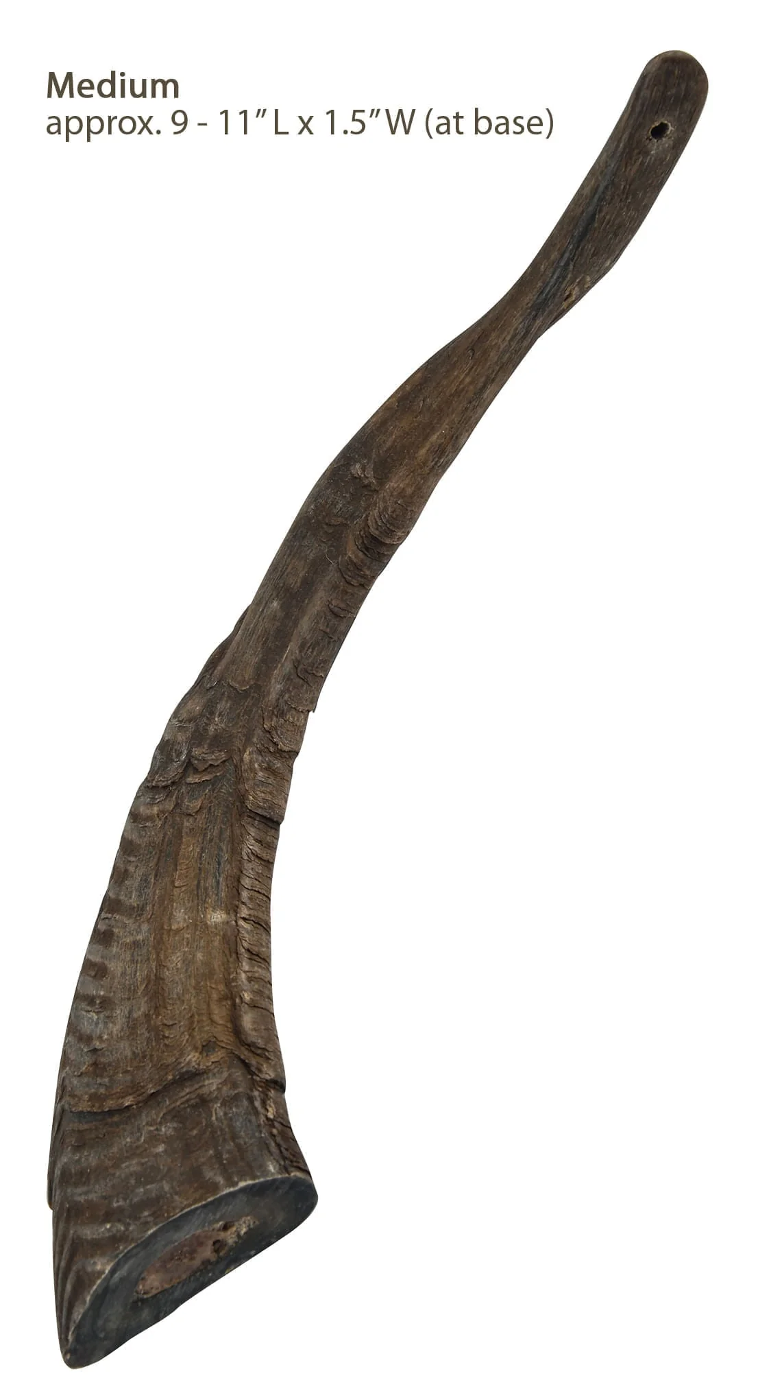 Gobi Goat Horn Natural Dog Chew - Buy Pet Shop