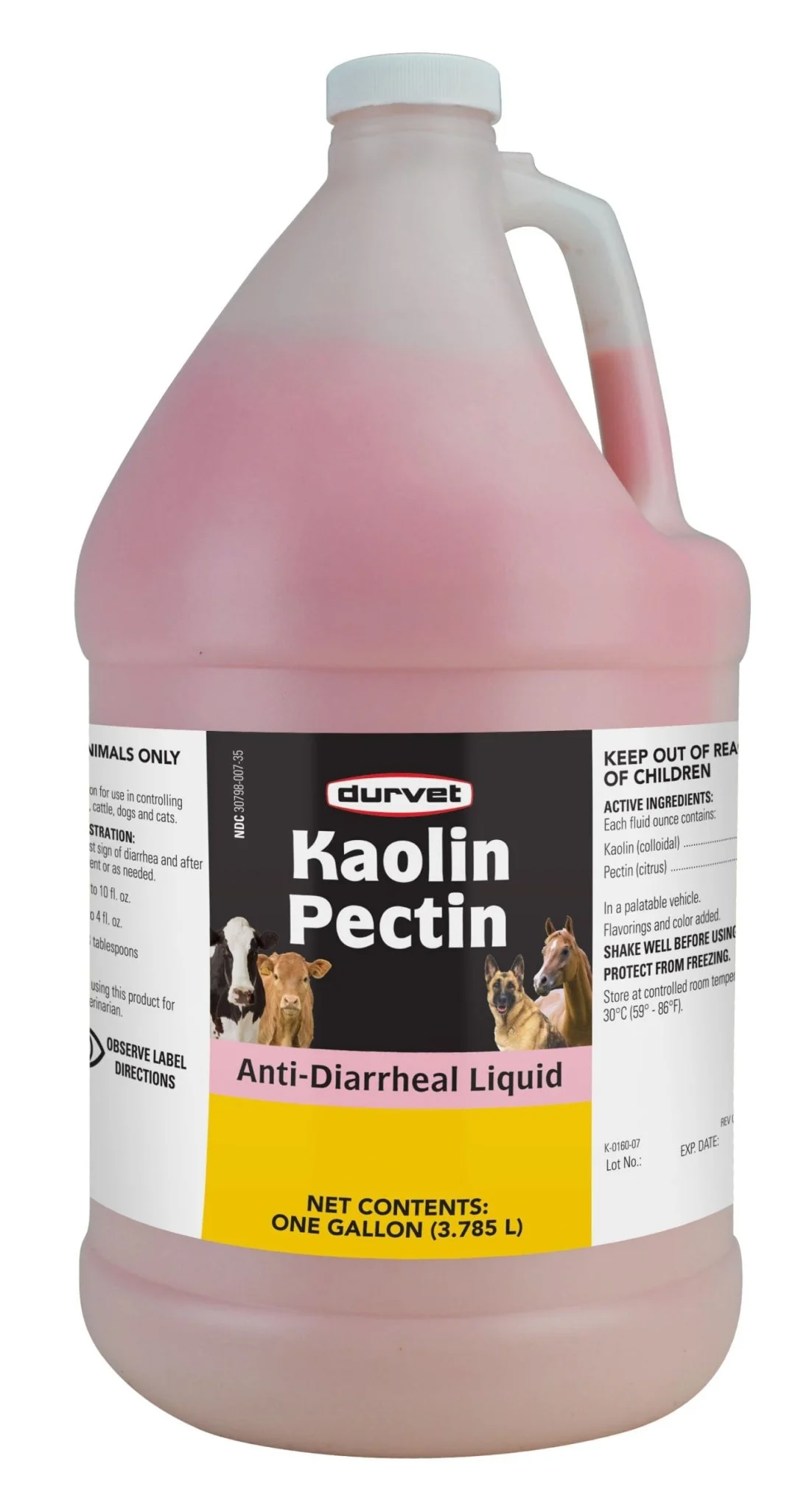 Kaolin Pectin Solution, Gallon - Buy Pet Shop