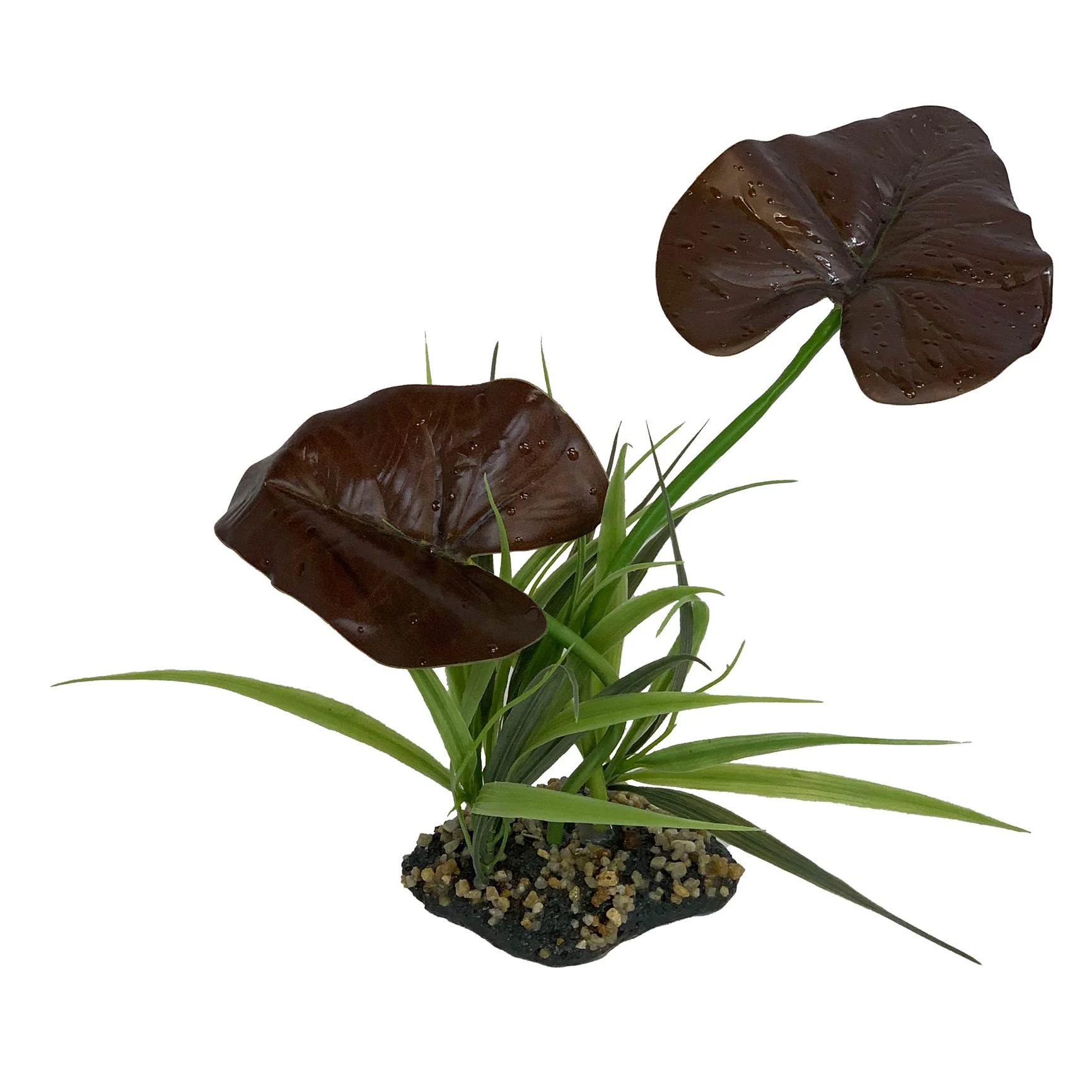 Komodo Canopy - Buy Pet Shop