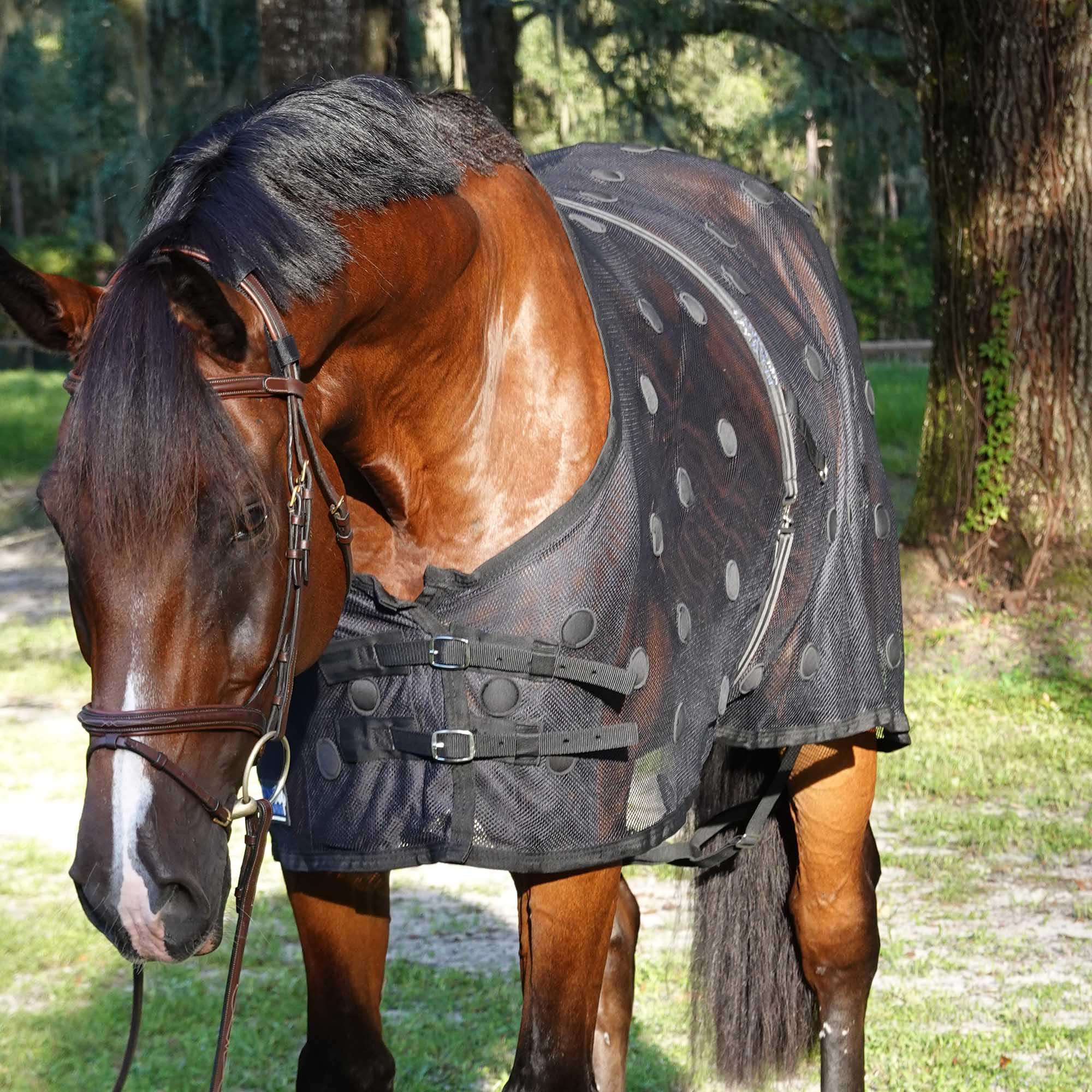 BeneFab Rejuvenate Magnetic Horse Therapy SmartScrim, Black - Buy Pet Shop