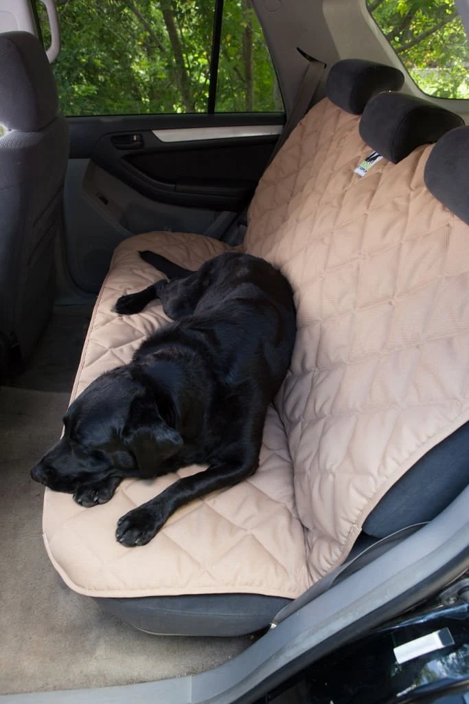Back Seat Protector for Dogs, Large - Buy Pet Shop