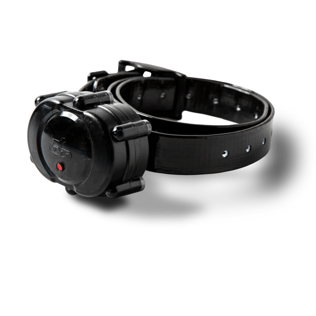 Mircro-iDT Plus Add-On Collar - Buy Pet Shop