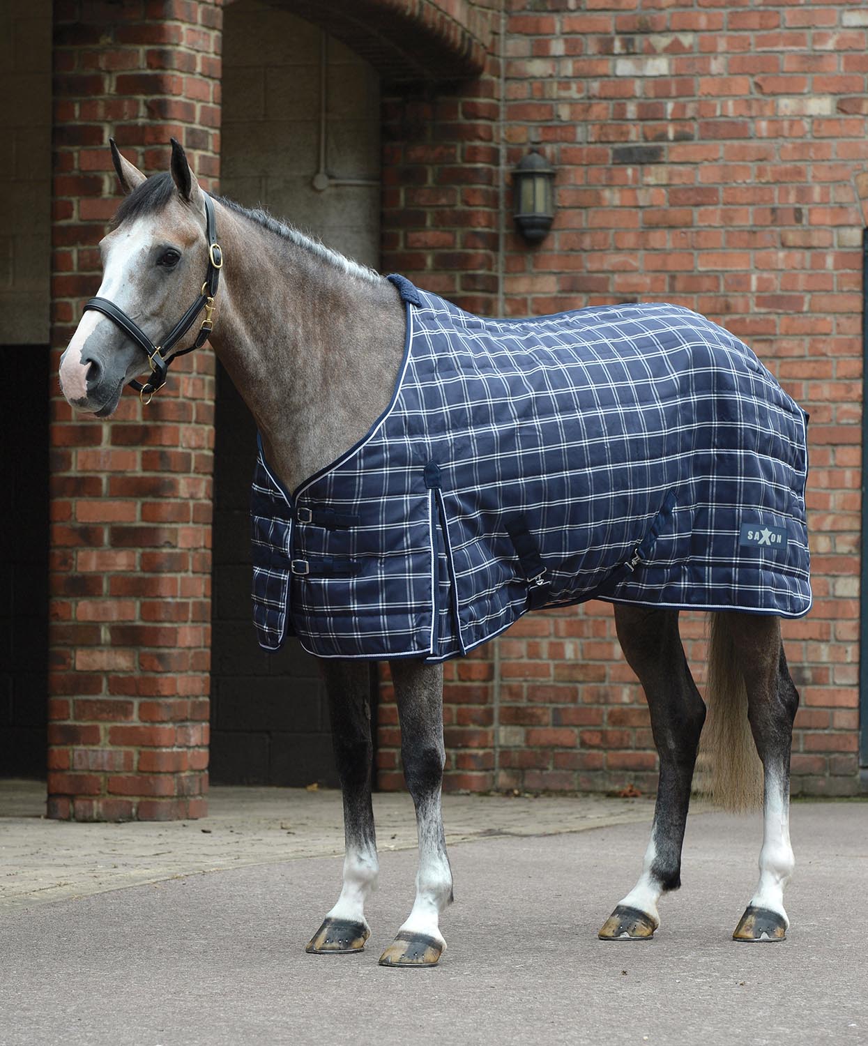 Saxon 1200D Standard Neck Medium Weight Stable Blanket for Horses - Buy Pet Shop