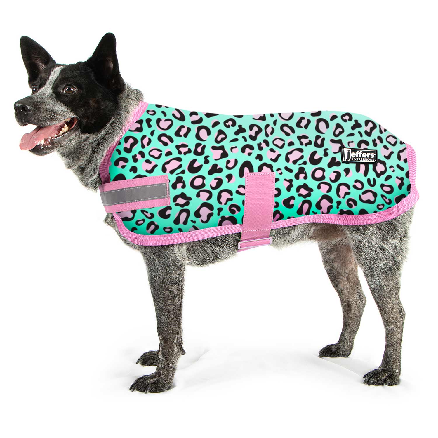 Expression Fleece Dog Coat, Party Cheetah - Buy Pet Shop