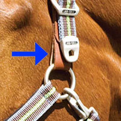 Replacement Tab for Breakaway Halter - Buy Pet Shop