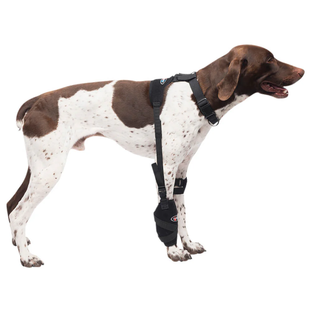 Caldera Pet Universal Therapy Carpal/Elbow Wrap with Therapy Gel - Buy Pet Shop