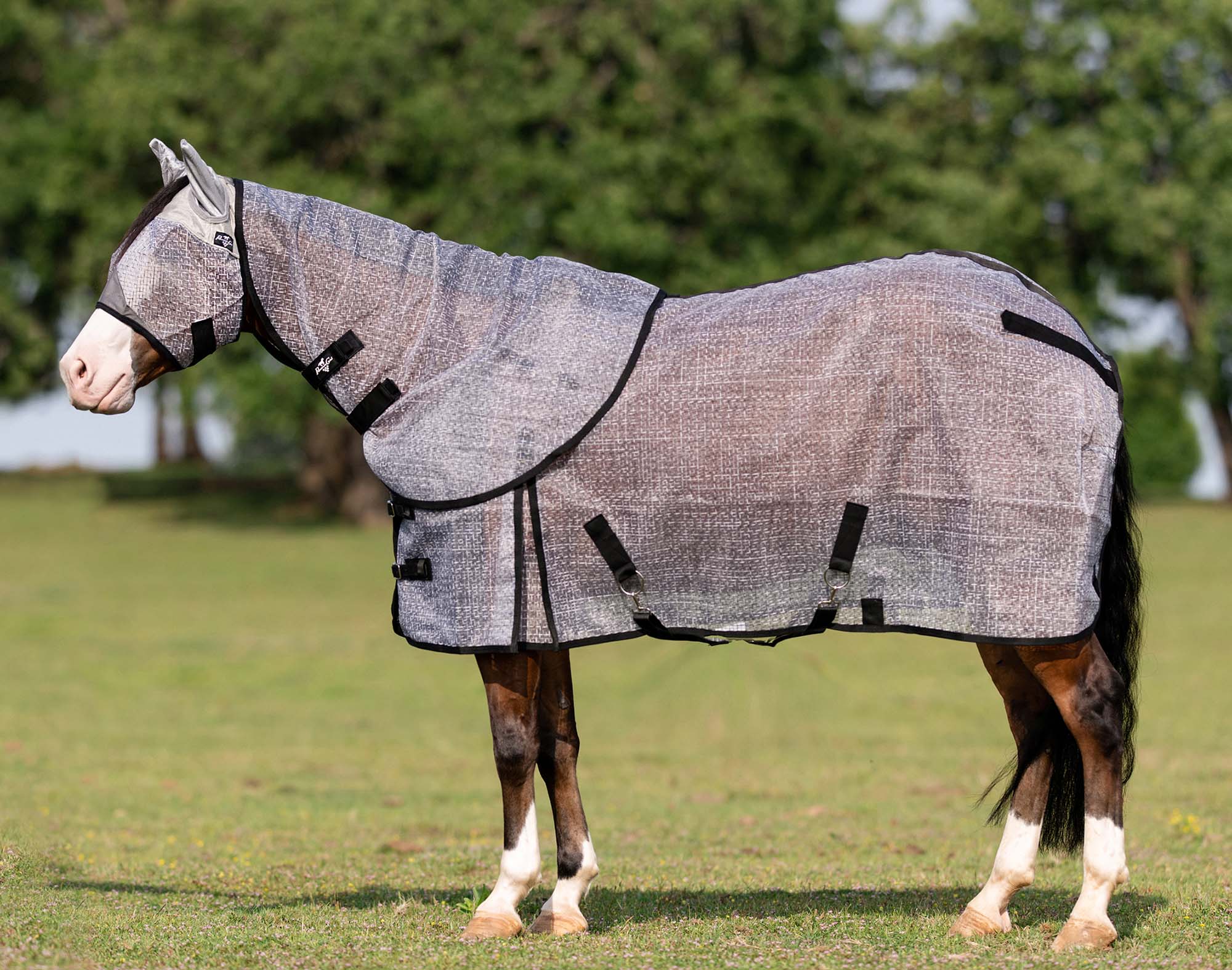 Professional's Choice Horse Fly Sheet - Buy Pet Shop