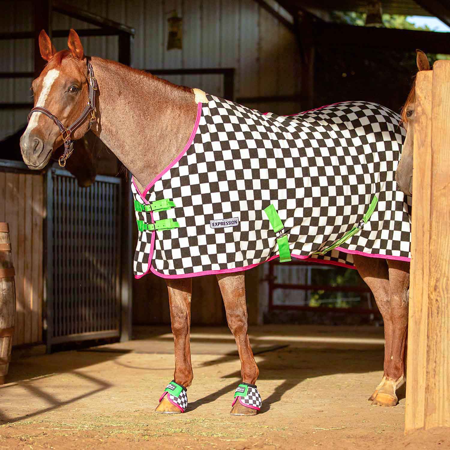 Expression Standard Neck Fleece Horse Cooler, Skater Cowgirl - Buy Pet Shop