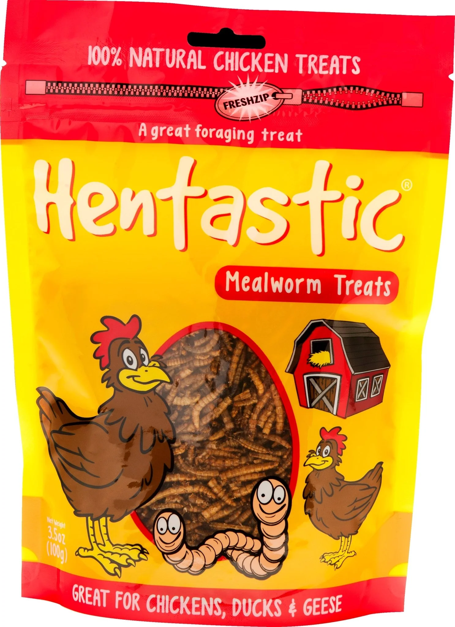 Hentastic Dried Mealworms - Buy Pet Shop