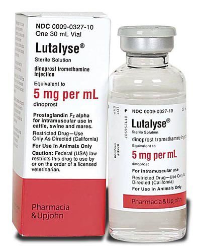 Rx Lutalyse (dinoprost tromethamine injection) Sterile Solution - Buy Pet Shop