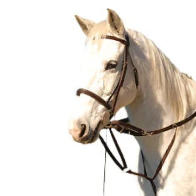 German Olympic Running Martingale for Horses with Reins - Buy Pet Shop