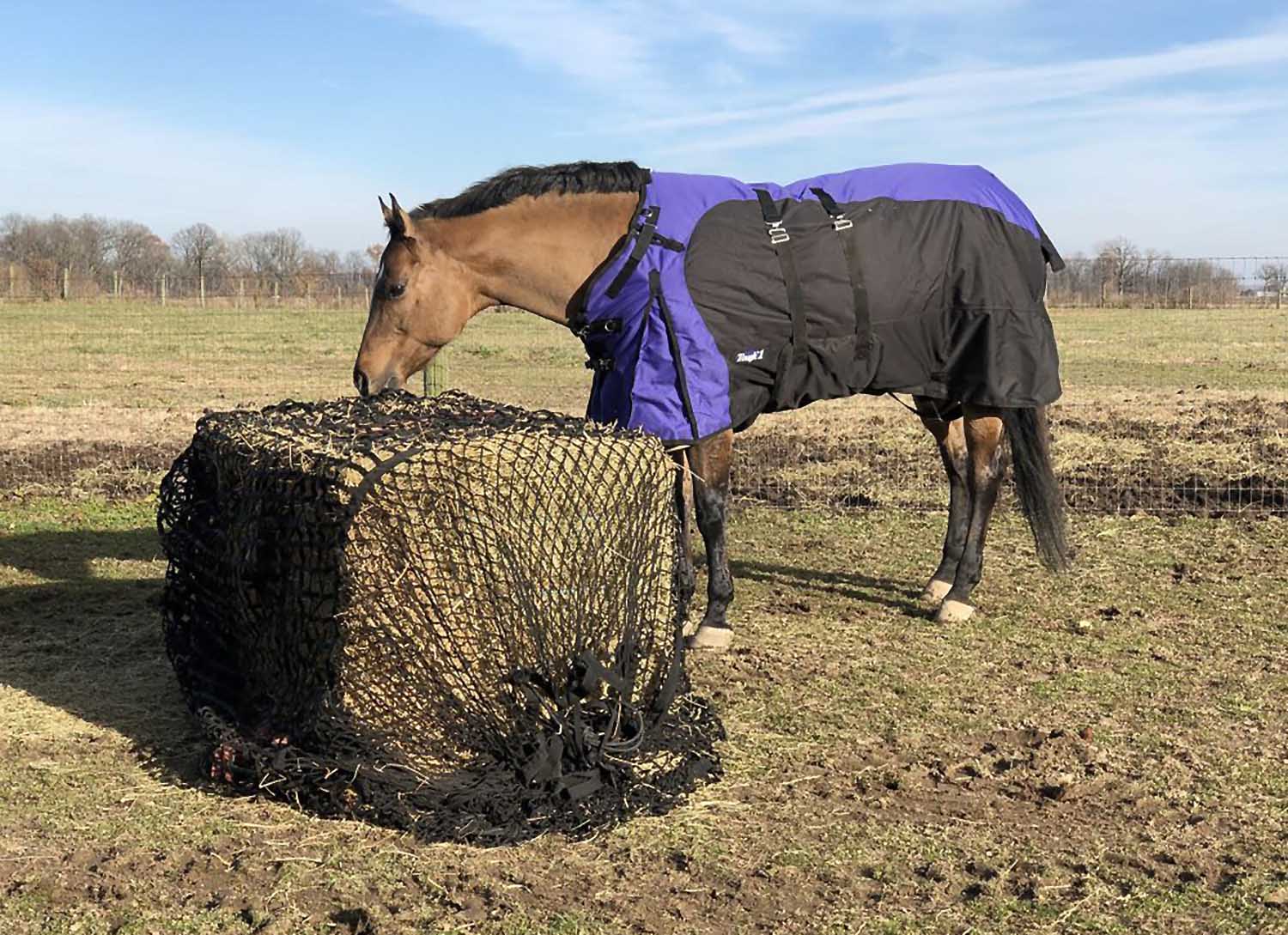 Tough1 Hybrid Large Hay Bale Feeder, 6' x 6' - Buy Pet Shop
