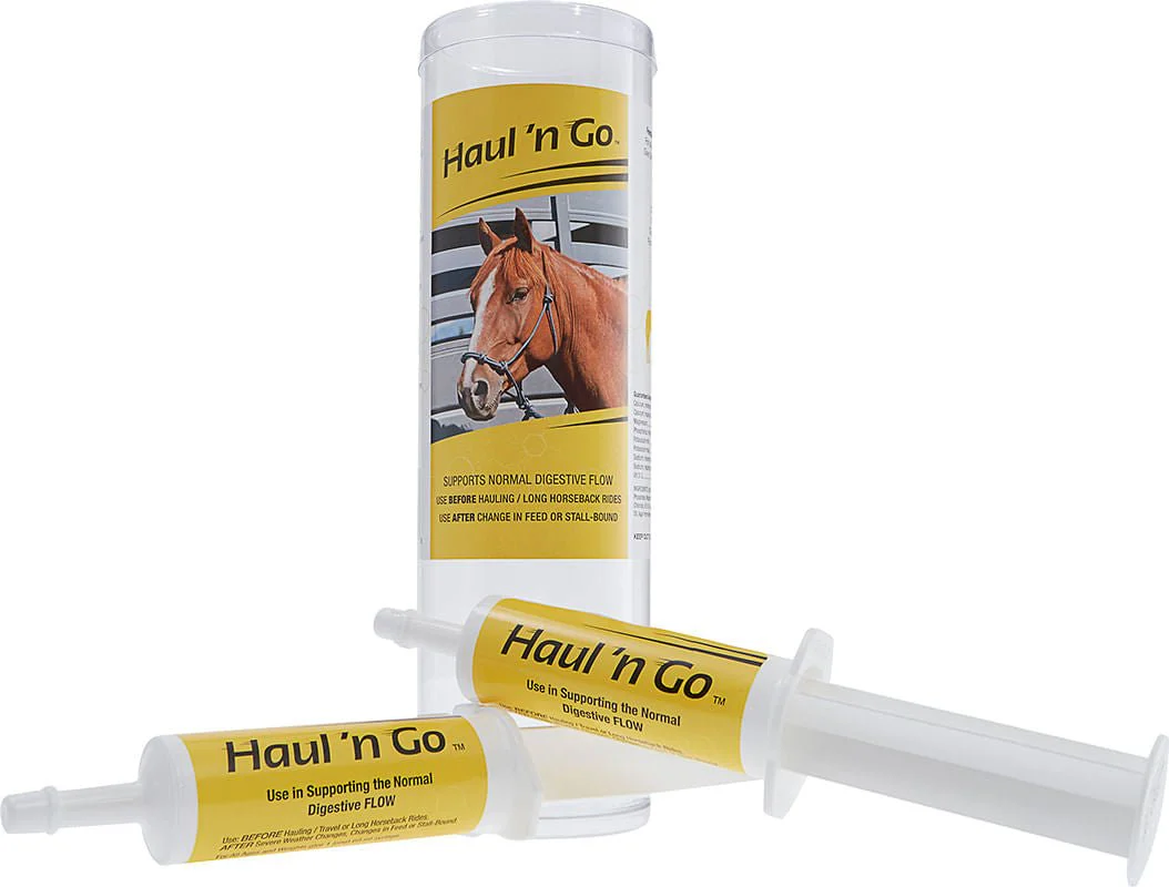 Haul 'N Go - Buy Pet Shop