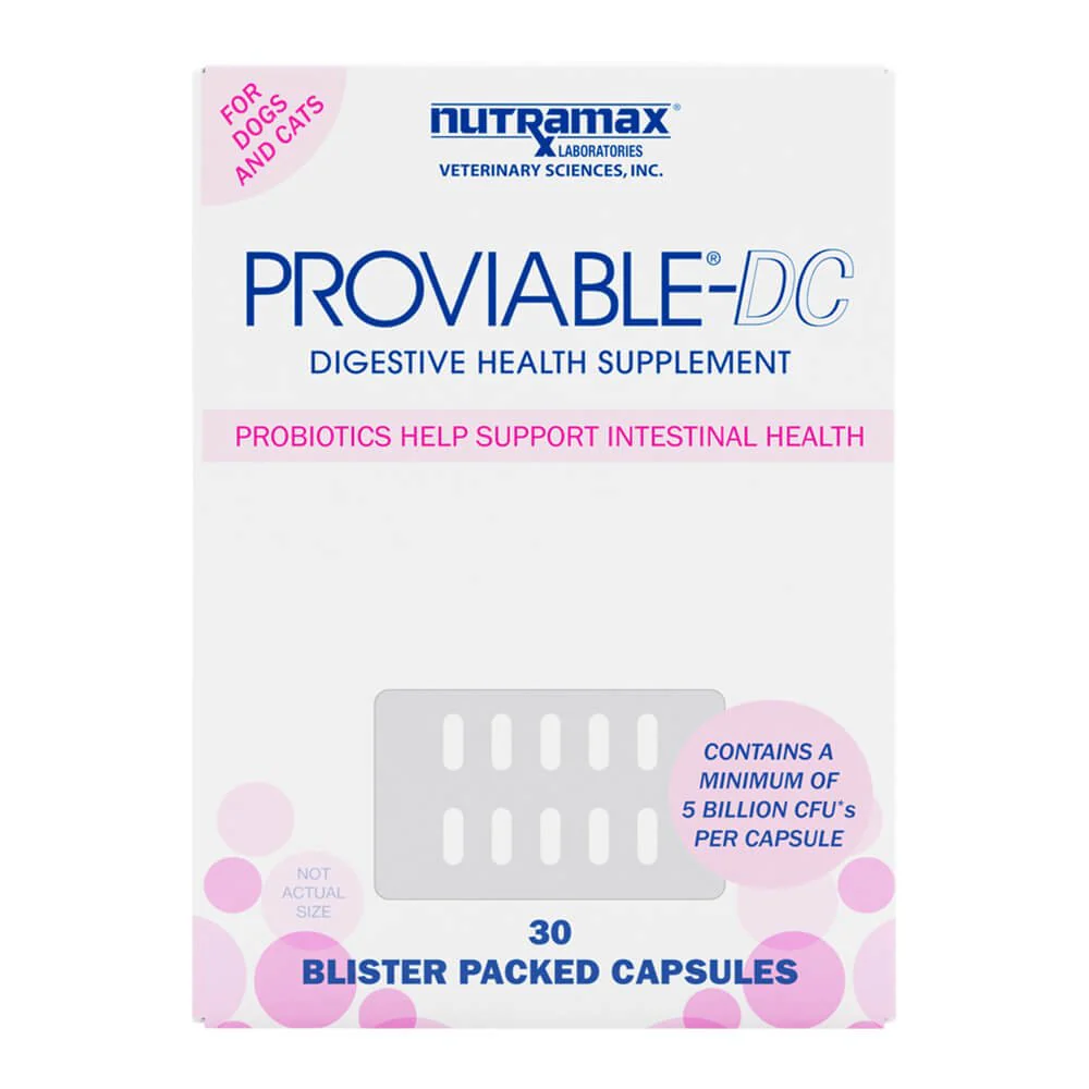 Nutramax Proviable-DC for Dogs & Cats - Buy Pet Shop