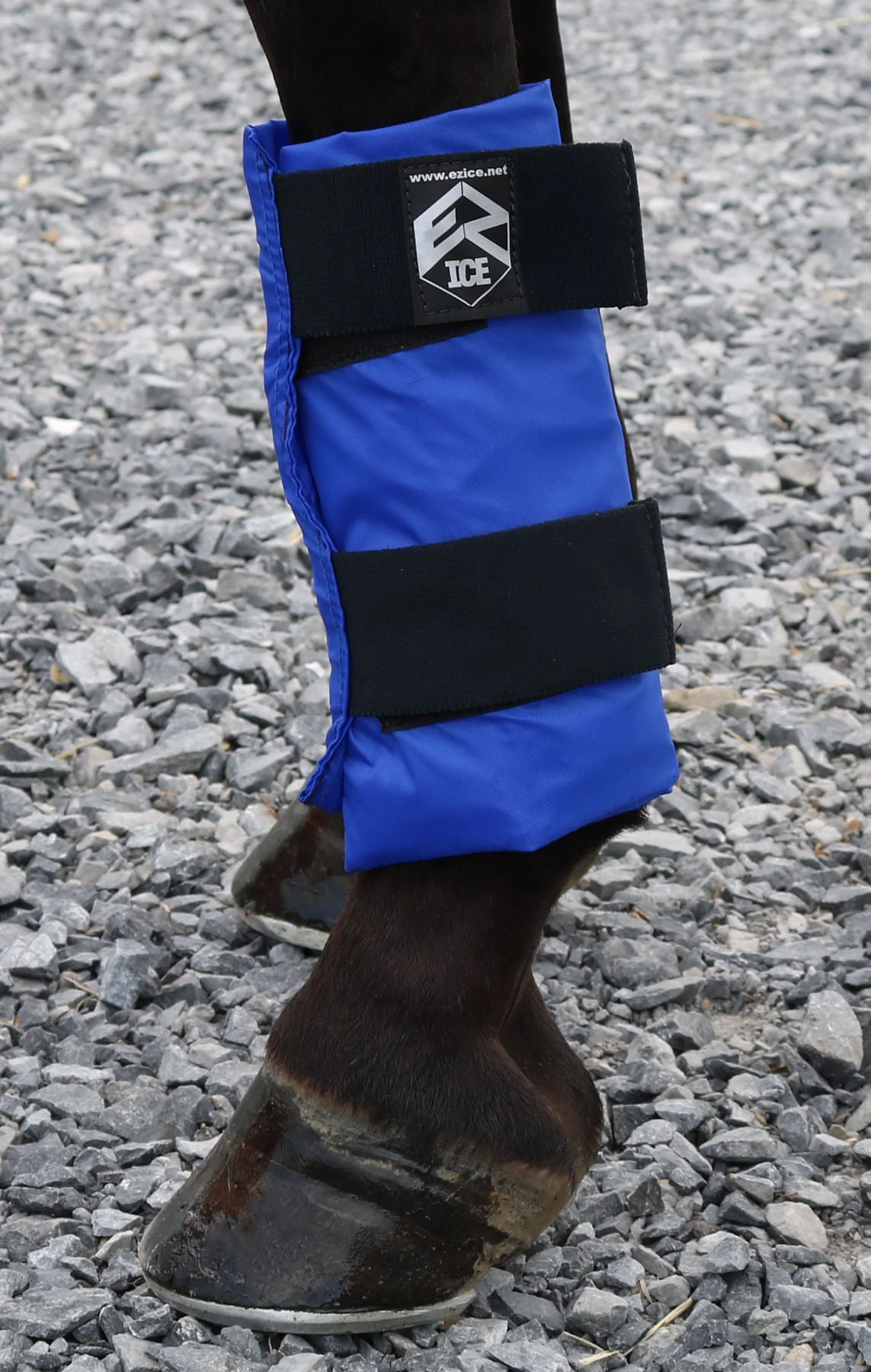 EZ Ice Horse Therapy Tendon Wrap, Each - Buy Pet Shop