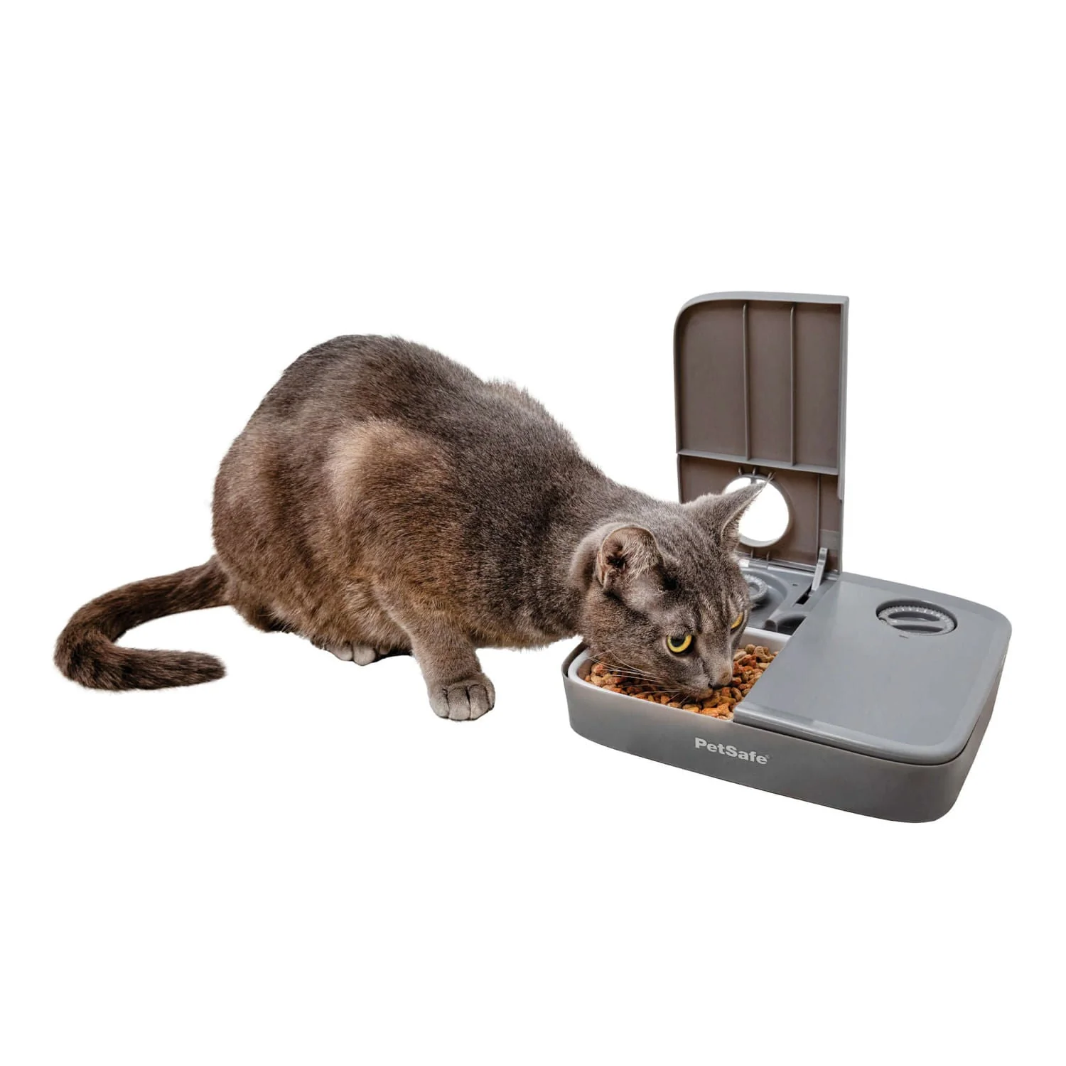 PetSafe Automatic 2 Meal Pet Feeder - Buy Pet Shop
