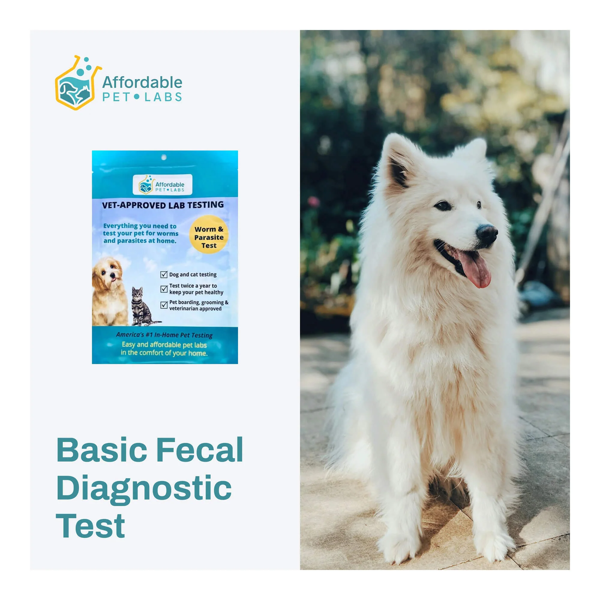Affordable Pet Labs - Basic Fecal Diagnostic Test For Dogs & Cats, Easy Home Kit - Buy Pet Shop