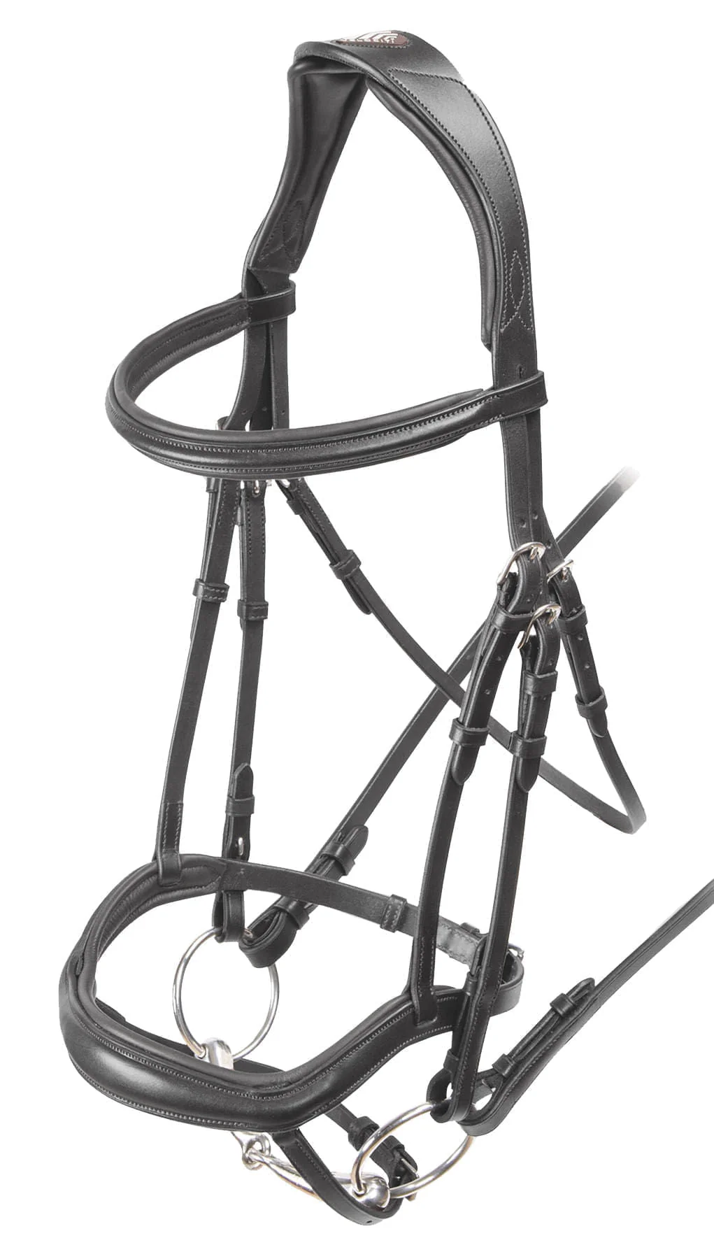 Velociti Ergonomic Flash Bridle - Buy Pet Shop