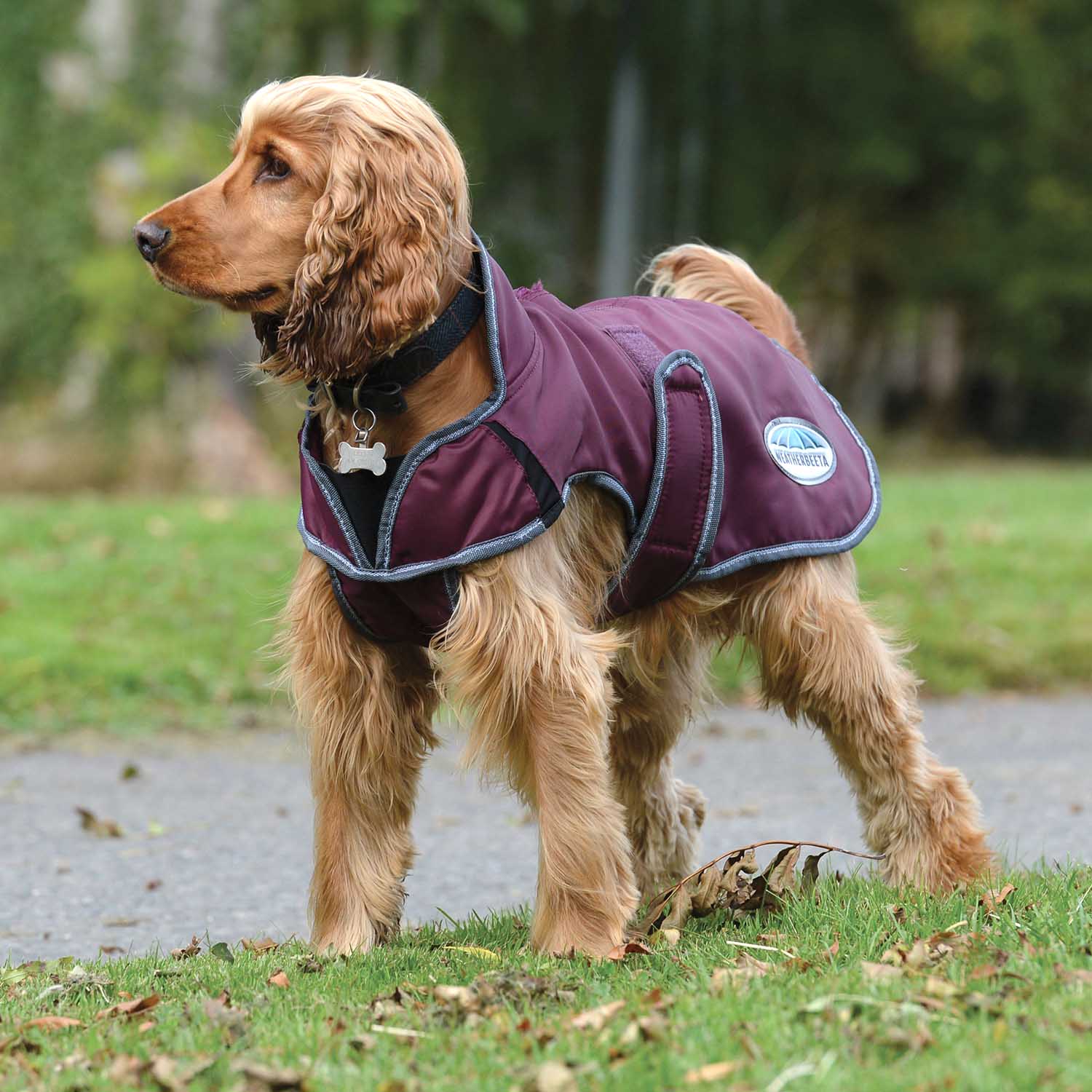 WeatherBeeta ComFITec Windbreaker Free Deluxe Dog Coat, Maroon/Gray/White - Buy Pet Shop