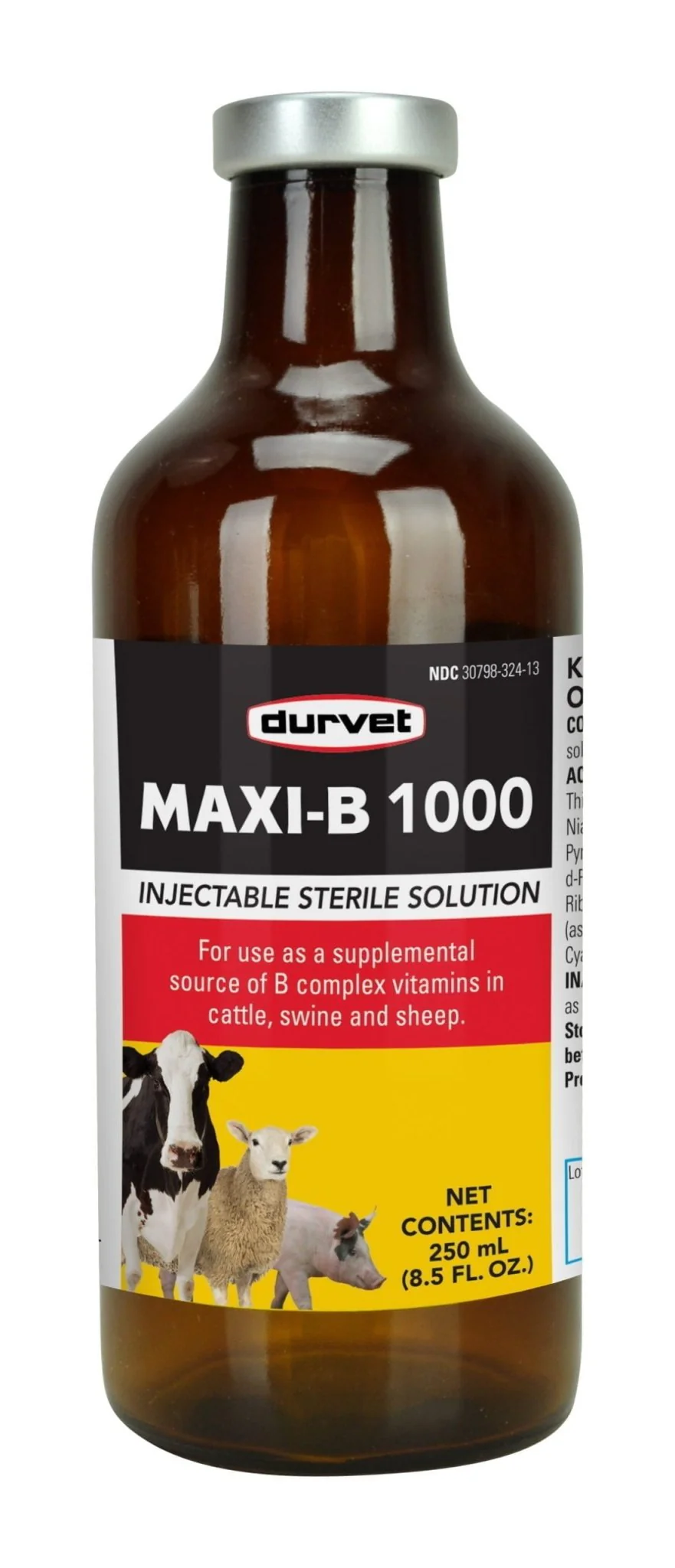 Maxi B 1000, 100 ml - Buy Pet Shop