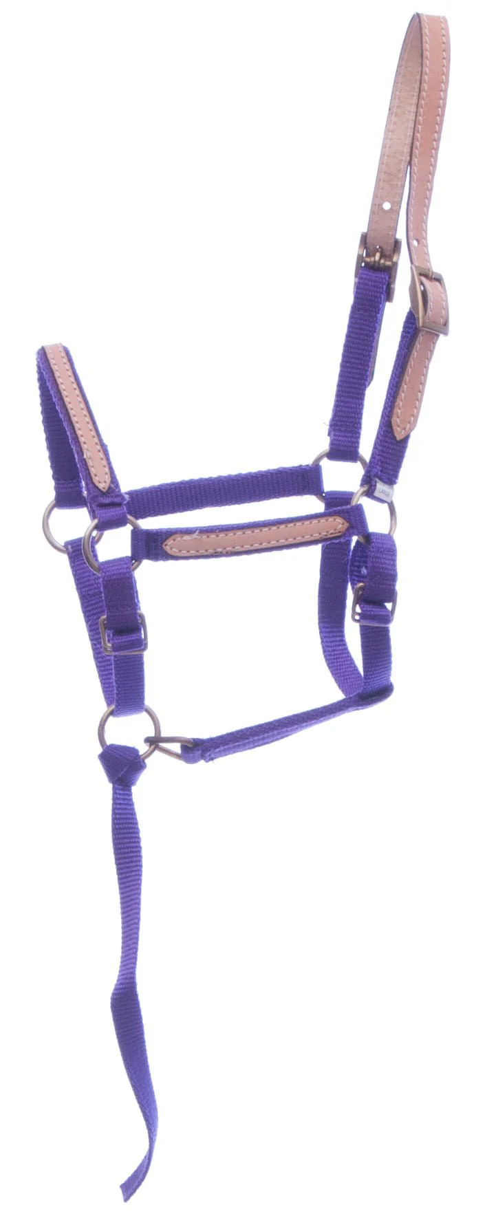 Tough1 Miniature Nylon Breakaway Halter, Large - Buy Pet Shop
