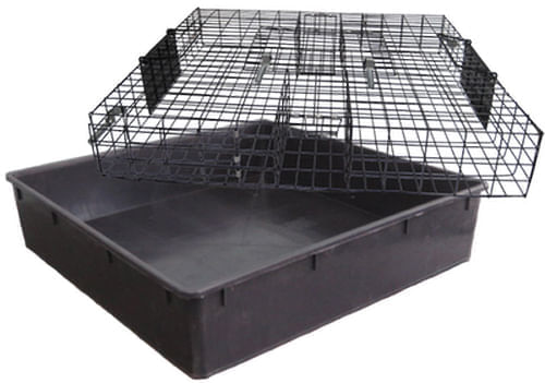 Squirrelinator - Buy Pet Shop