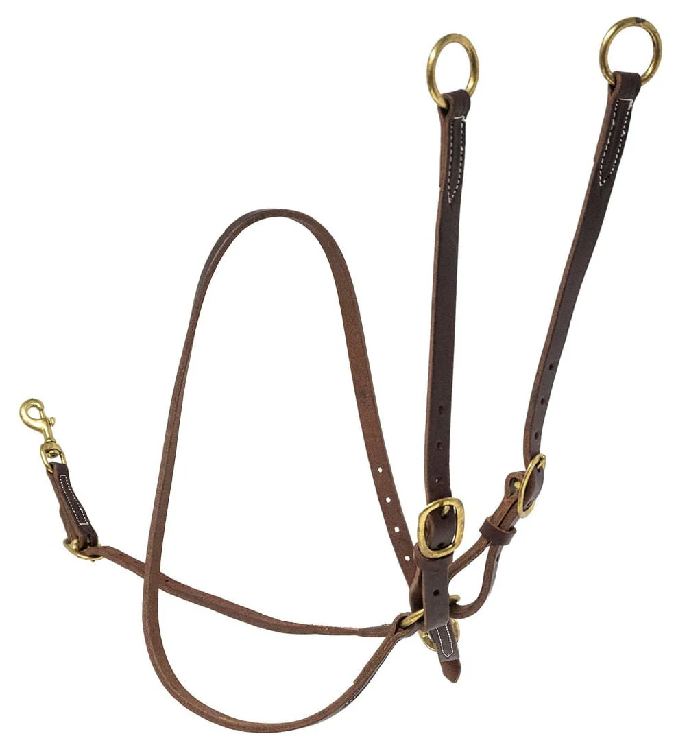 Poplar Head Premium Oiled Harness Leather Training Martingale - Buy Pet Shop