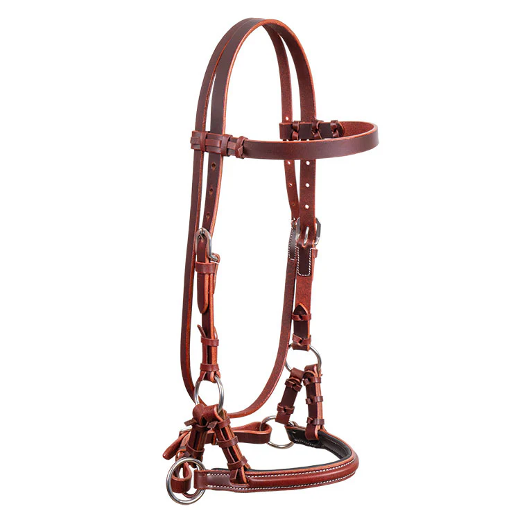 Latigo Padded Leather Sidepull - Buy Pet Shop