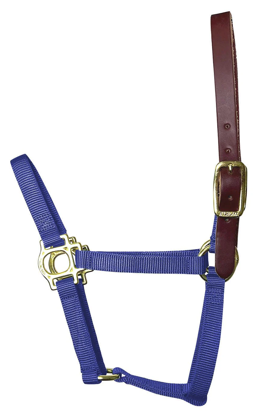 Valhoma Premium Breakaway Nylon Halter with Leather Crown - Buy Pet Shop