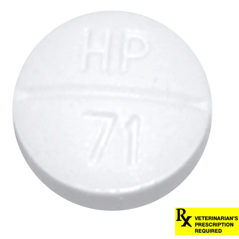 Rx Methimazole Tablets - Buy Pet Shop
