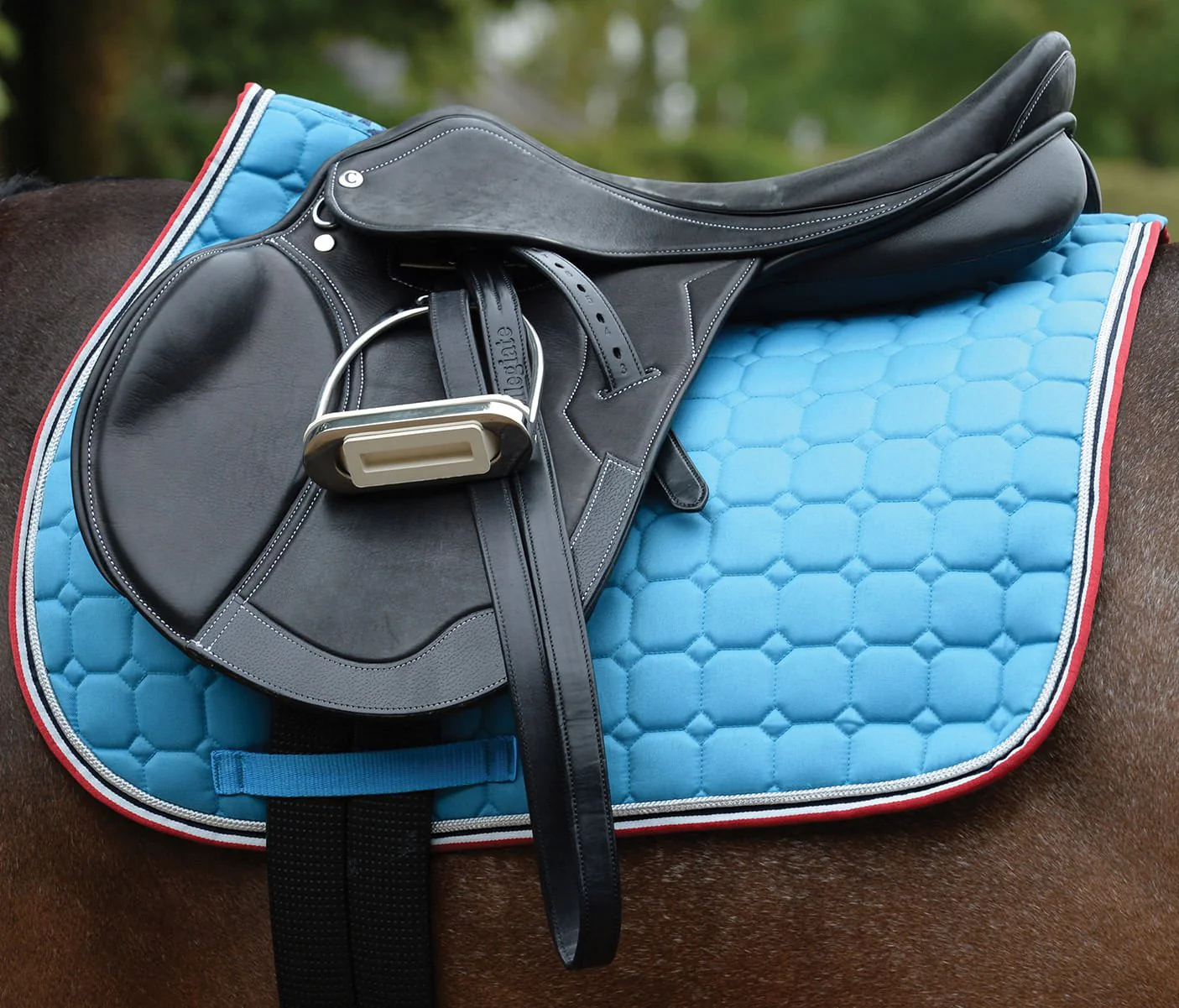 Saxon Coordinate Quilted All Purpose Saddle Pad - Buy Pet Shop