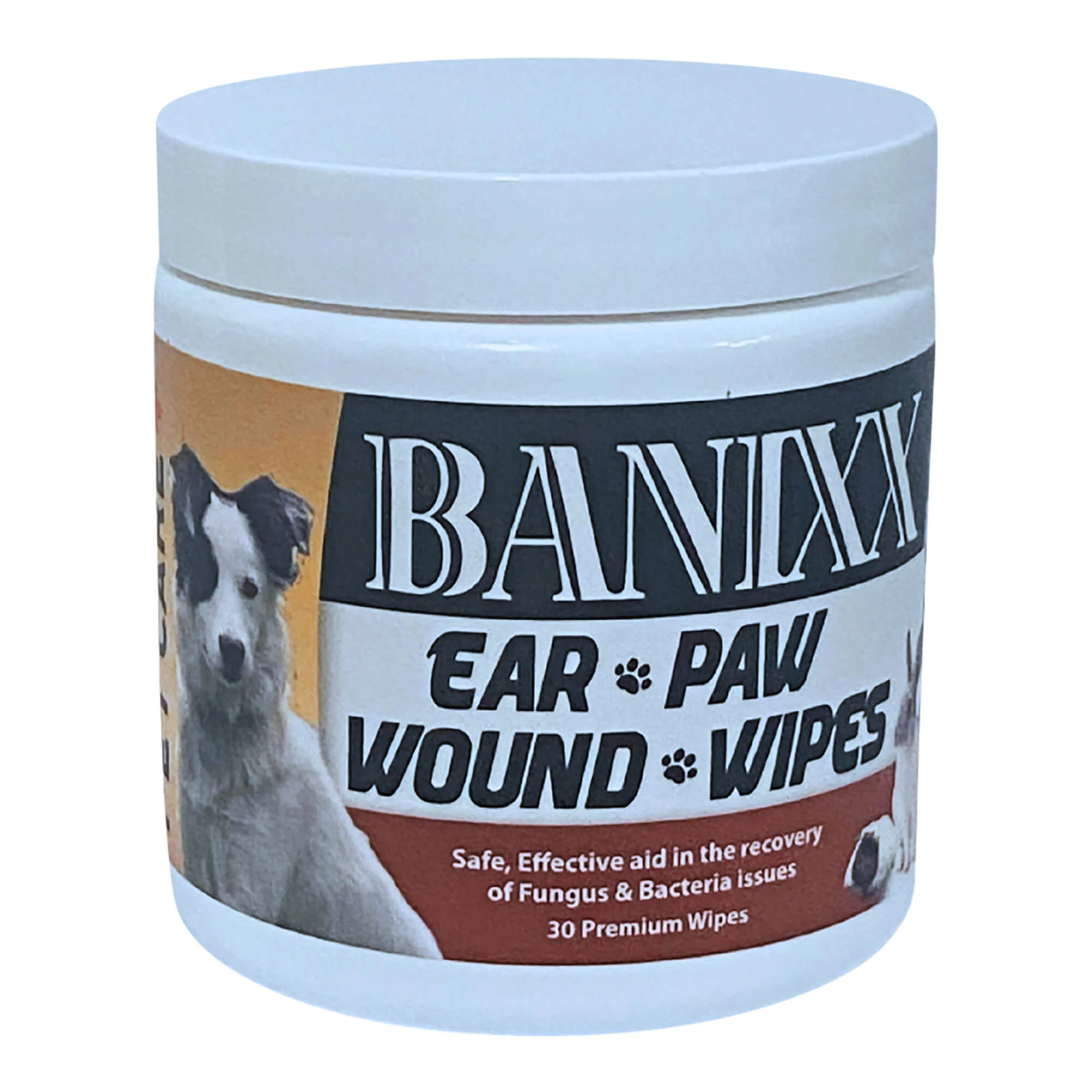 Banixx Pet Care Ear Paw & Wound Wipes, 30 ct - Buy Pet Shop