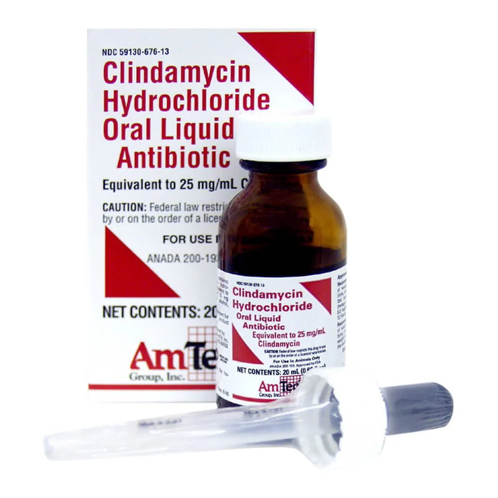 Rx Clindamycin, 25mg/ml Oral Drops x 20 ml bottle - Buy Pet Shop