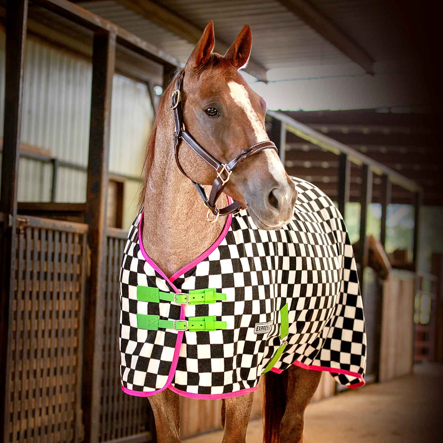 Expression Standard Neck Fleece Horse Cooler, Skater Cowgirl - Buy Pet Shop