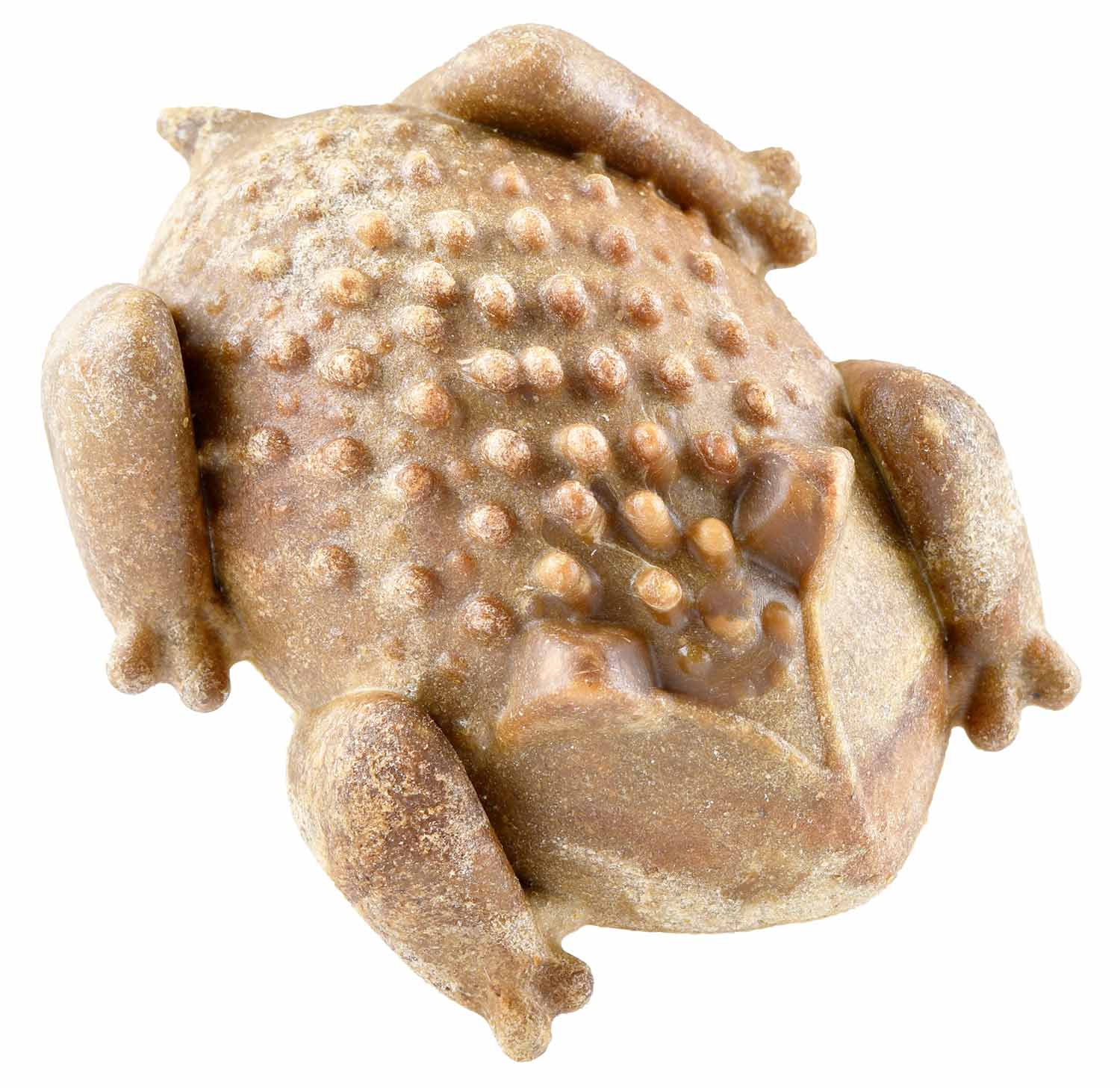 RedBarn Chew-A-Bulls Horned Toad Natural Dental Treat - Buy Pet Shop