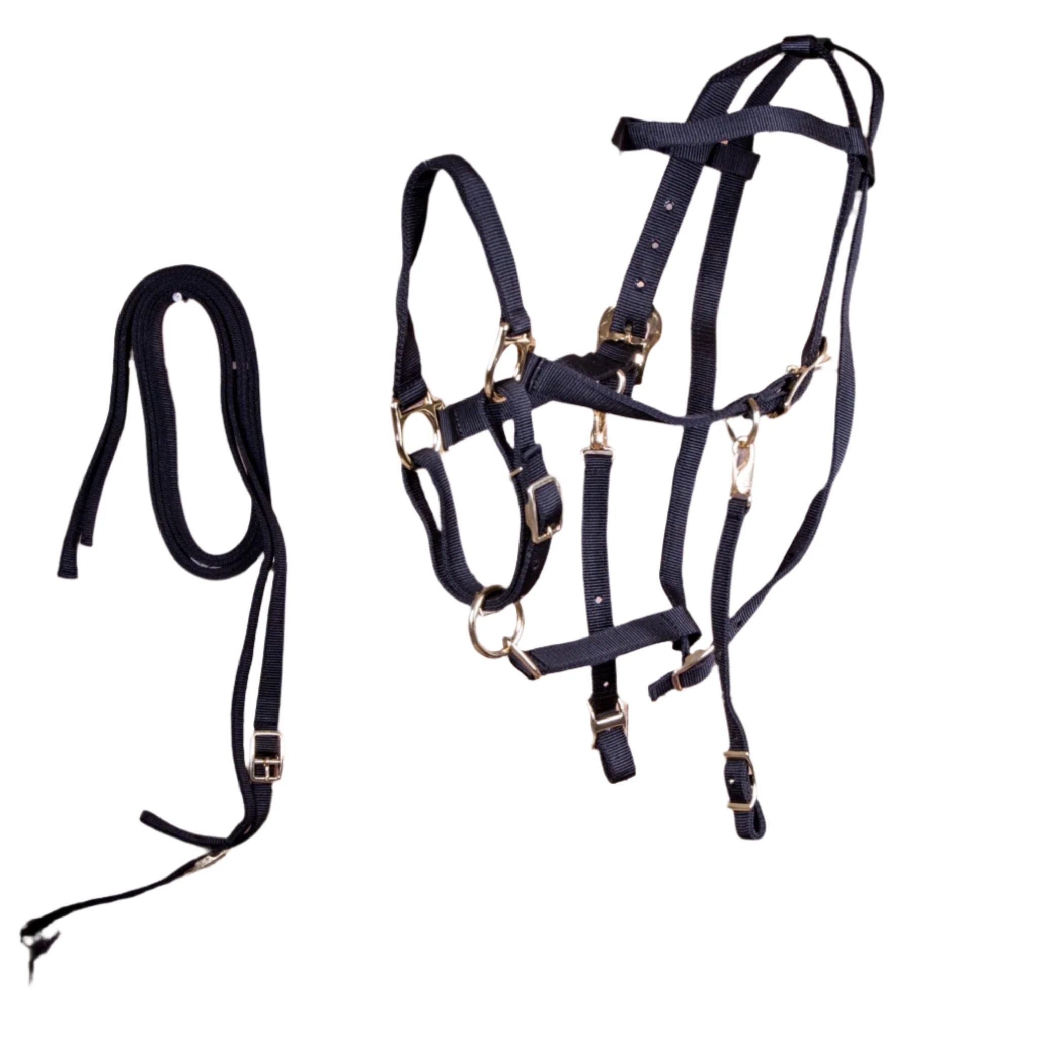 Nylon Combination Horse Halter Bridle with Reins - Buy Pet Shop