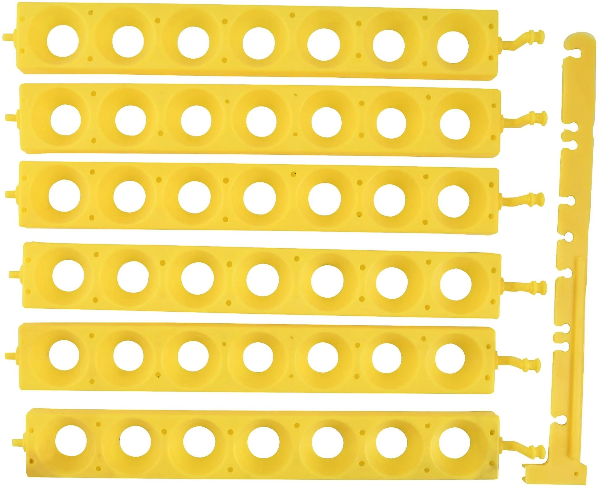 Chick Egg Racks, pkg of 6 - Buy Pet Shop