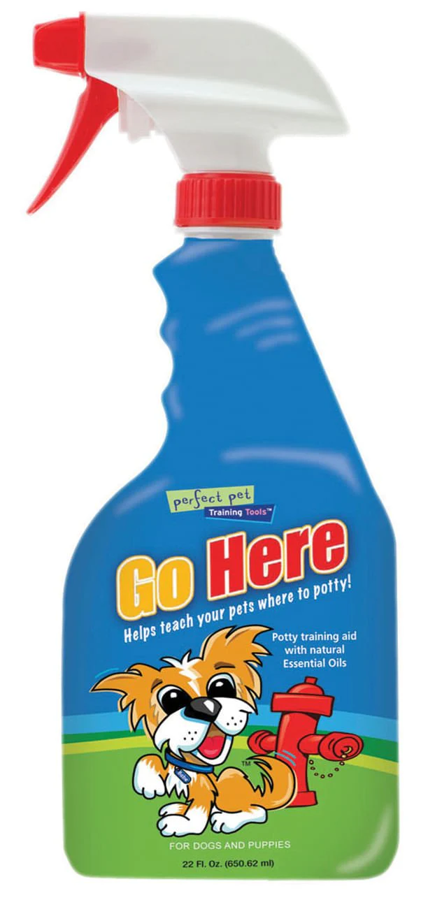 Go Here!, 22 oz - Buy Pet Shop