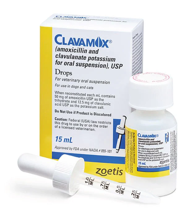 Rx Clavamox for Dogs and Cats (Amoxicillin trihydrate/clavulanate potassium) For Oral Suspension Oral Drops, 15 ml - Buy Pet Shop