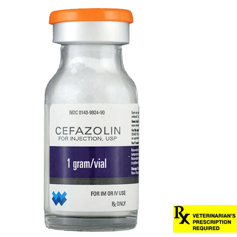 Rx Cefazolin, 1 gm Vial - Buy Pet Shop