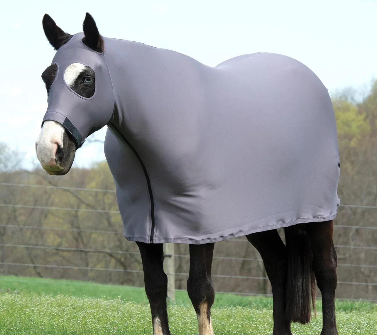 Coolcore Lycra Cooling Sheet for Horses w/ UV Protection - Buy Pet Shop