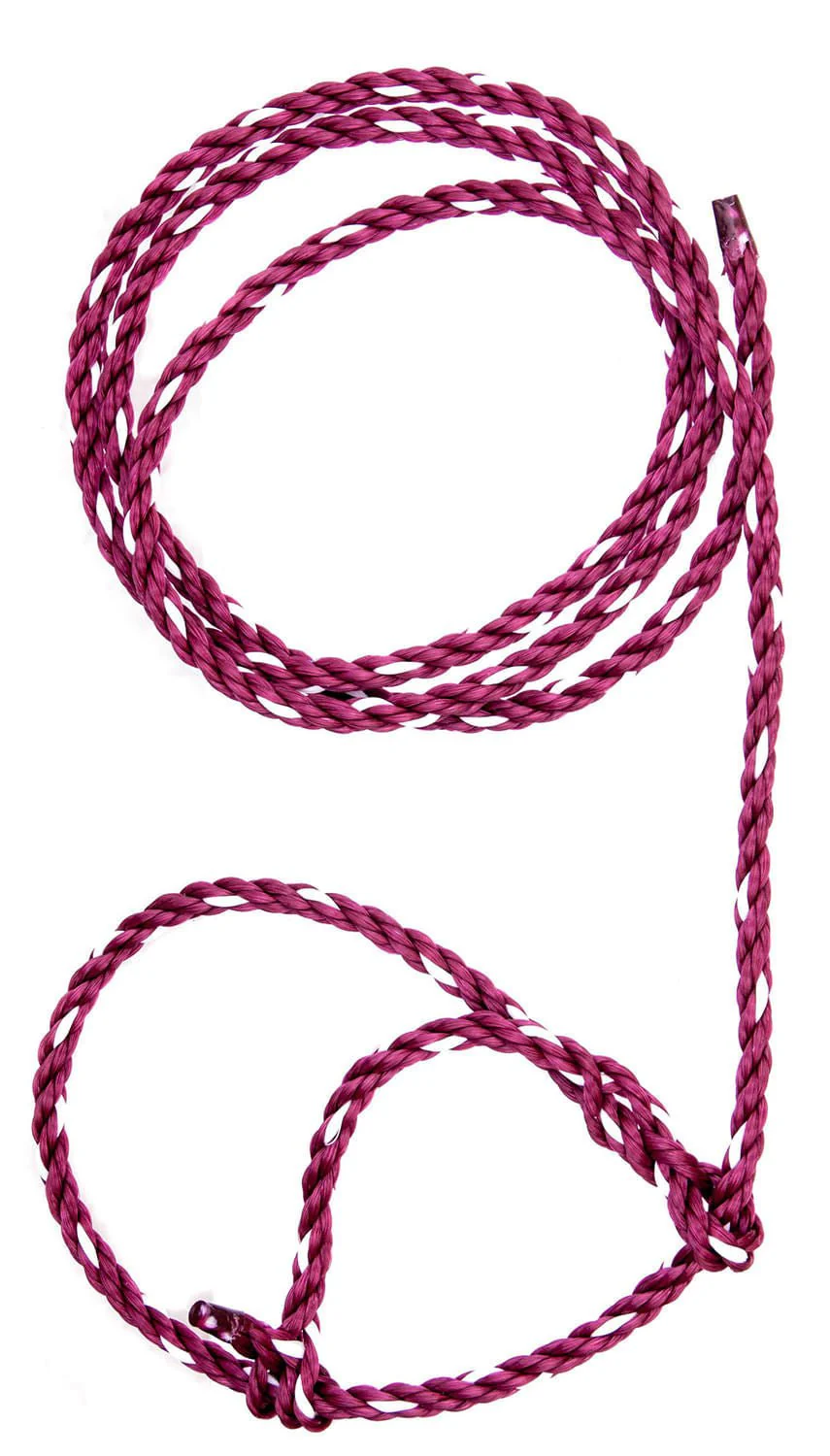 Troyer's Poly Calf Halter - Buy Pet Shop