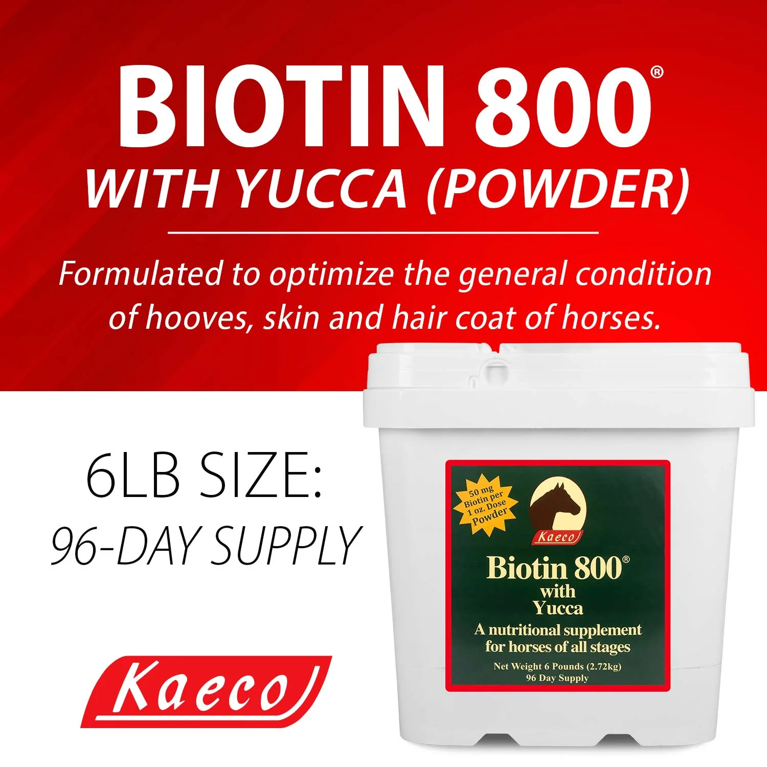 Biotin 800 Powder with Yucca - Buy Pet Shop